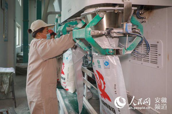 金海面粉工厂内,正在进行产品打包.